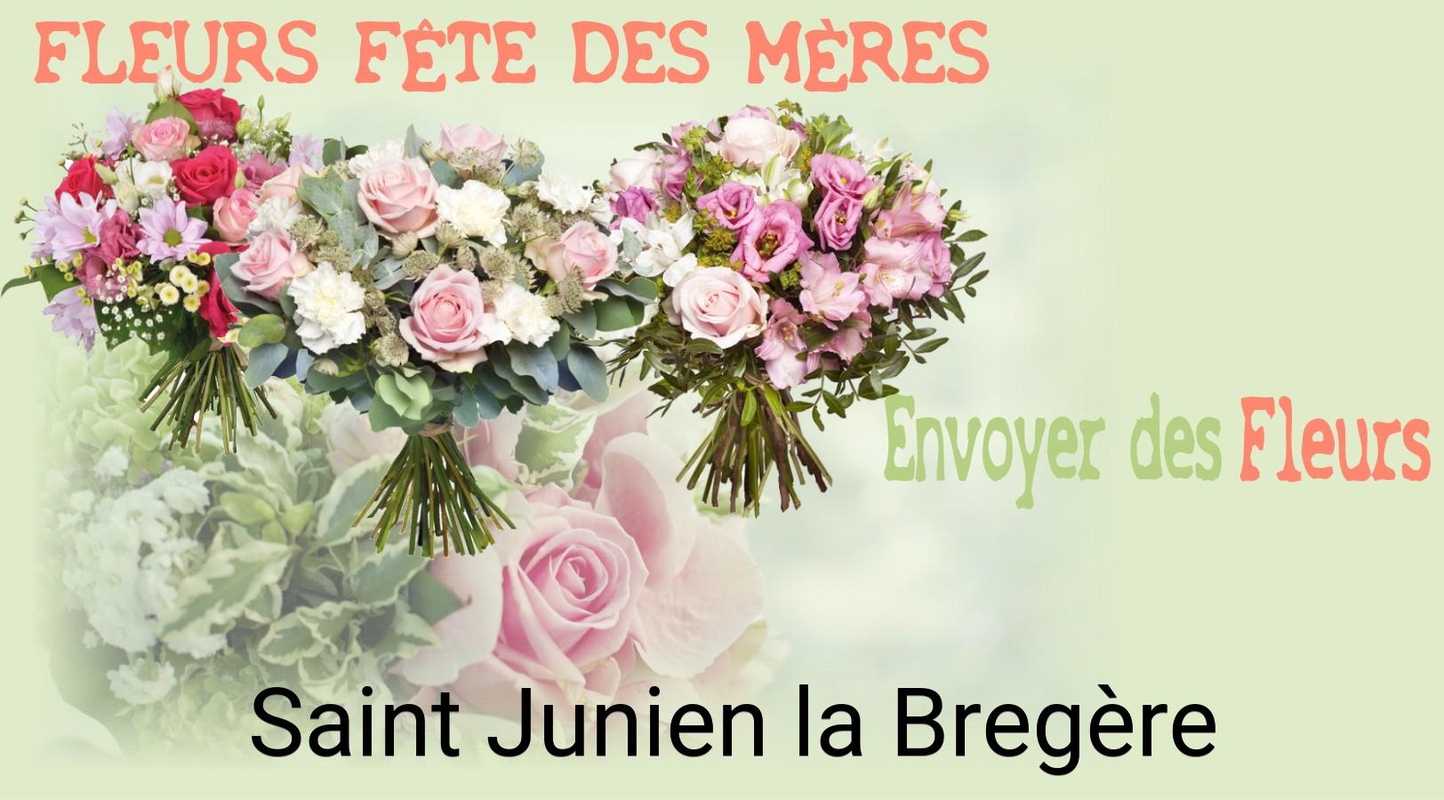 Bouquet de Fête des Mères livré à Saint-Junien-la-Bregère